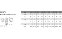 DIN 979 A2  Kronenmuttern, niedrige Form - Abmessung: M 18, Inhalt:  25 Stück