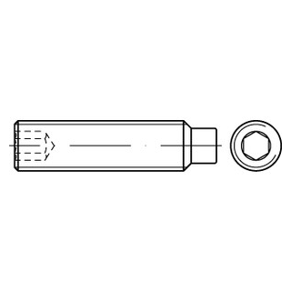 ISO 4028 A2 Gewindestifte mit Zapfen und Innensechskant - Abmessung: M 5 x 45, Inhalt:  200 Stück