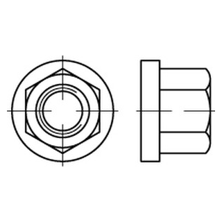DIN 6331 A4  Sechskantmuttern mit Bund, mit einer Höhe von 1,5d - Abmessung: M 30 SW 46, Inhalt:  10 Stück