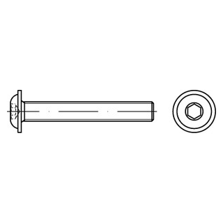 ISO 7380-2 A4 Flachkopfschrauben mit Innensechskant und Bund - Abmessung: M 2 x 4, Inhalt:  1000 Stück