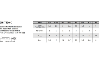 DIN 7500 Form CE A2 Gewindefurchende Linsenkopfschraube, Pozidrive - Abmessung: M 6 x 16, Inhalt:  500 Stück
