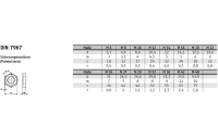 DIN 7967 A4  Sicherungsmuttern (Palmuttern) - Abmessung: M 30, Inhalt:  50 Stück