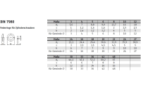 DIN 7980 A4  Federringe für Zylinderschrauben - Abmessung: 20, Inhalt:  100 Stück