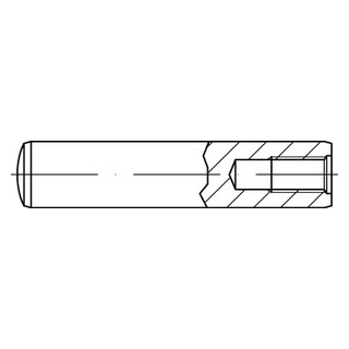 ISO 8733 1.4305 Zylinderstifte mit Innengewinde - Abmessung: 10 x 55, Inhalt:  50 Stück