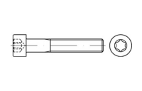 ISO 14579 A2 Zylinderschrauben mit Innensechsrund  - Abmessung: M 4 x 55, Inhalt:  200 Stück