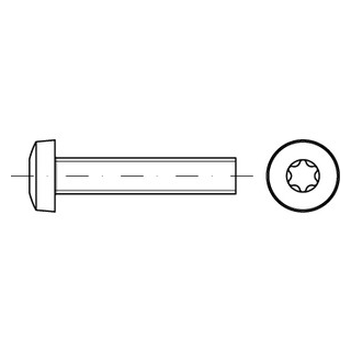 ISO 14583 A2 Flachkopfschrauben mit Innensechsrund mit Vollgewinde - Abmessung: M 4 x 55/55, Inhalt:  500 Stück