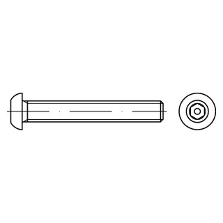 Artikel 88113 A2  Flachrundkopf-Sicherheitsschrauben mit ISK + Pin - Abmessung: M 8 x 65 SW 5 PIN, Inhalt:  100 Stück